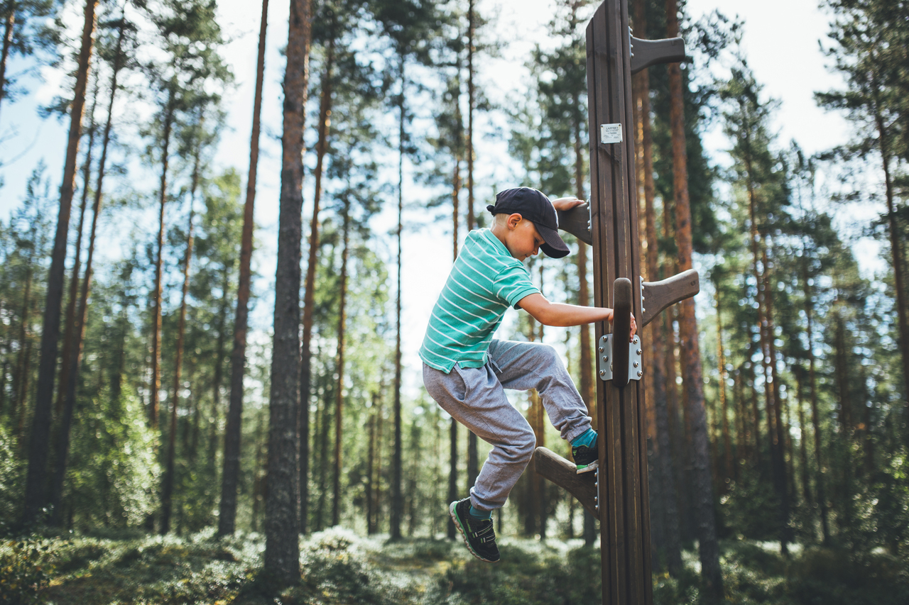 Natural playground equipment in wales