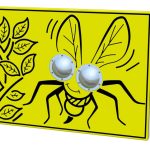 Bug Eyes Hornet Play Panel