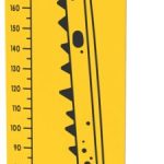 How Tall are You – Dino Play Panel